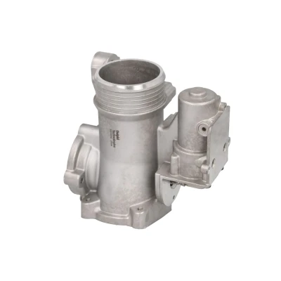 Kuva EGR venttiili DELPHI EG10616