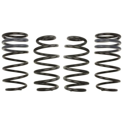 Kuva EIBACH Pro Kit E10 47 006 02 22 Madallusjouset
