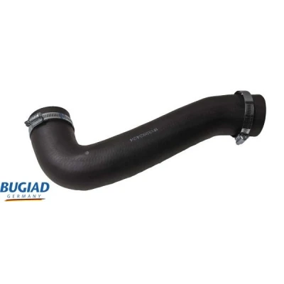 Kuva BUGIAD 82424 Ahdinletku Kuorilla