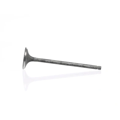 Kuva Pakoventtiili, Poistopuoli MITSUBISHI OE 2221233000, MD127841
