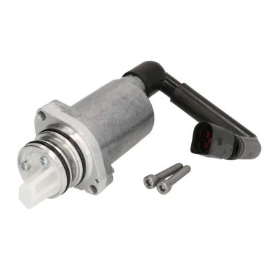 Kuva BorgWarner DS118574 Pumppu, nelivedon lamellikytkin
