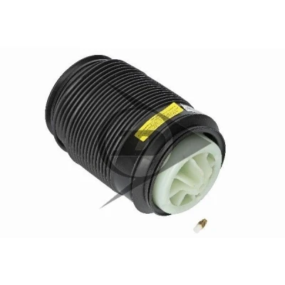 Kuva Dunlop Airsuspension 71197 Ilmajousi, Jousitus Taka akseli, oikea