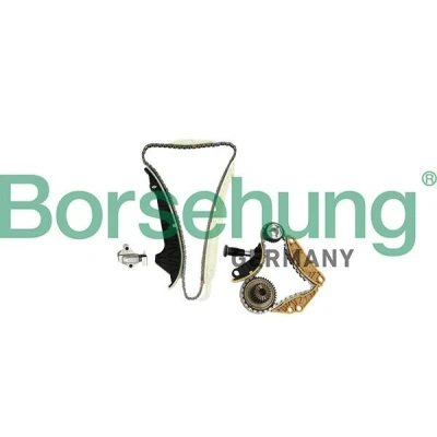 Kuva Borsehung B10220 Jakoketjusarja VOLKSWAGEN: Beetle Hatchback, Passat B6 Variant, Scirocco III, SKODA: Octavia II 2 Combi, Yeti