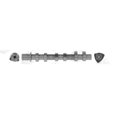 Kuva Nokka akseli, Poistopuoli dacia, nissan, renault OE 13020 00Q0P, 130209252R