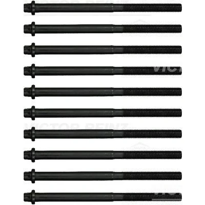 Kuva REINZ 14 17059 01 Kannen Pultit Torx, ulko BMW: 5 Sedan, X5, Touring