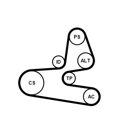 Kuva CONTITECH 6PK1564K1 Moniurahihnasarja PEUGEOT: 206 Hatchback, 206+ CITROËN: Xsara Picasso