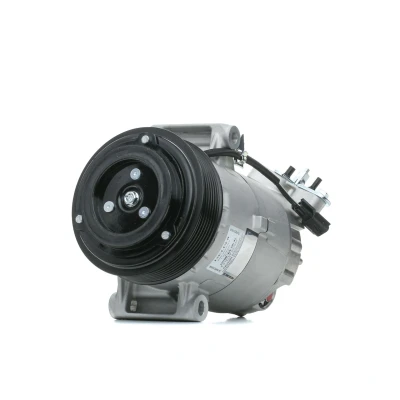 Kuva DELPHI TSP0155928 Ilmastoinnin Kompressori 6CVC13 PAG 46 kompressoriöljyllä NISSAN: Qashqai / Qashqai+2 I