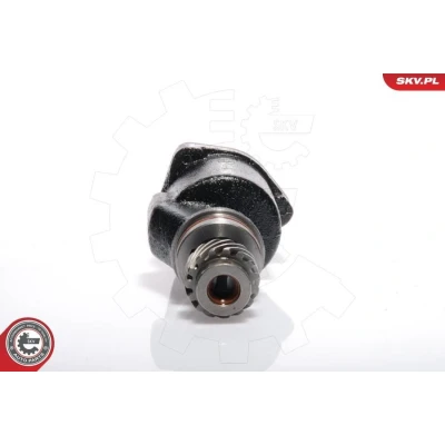 Kuva ESEN SKV 18SKV001 Alipainepumppu VOLKSWAGEN: TRANSPORTER 4, 4 Bus