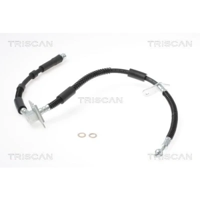 Kuva TRISCAN 8150 17305 Jarruletku 595/310 F10x1 LAND ROVER: Range Rover Sport