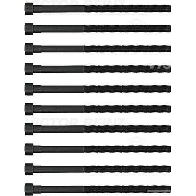 Kuva REINZ 14 12261 02 Kannen Pultit Torx, sisä BMW: 3 Touring, Sedan, GT