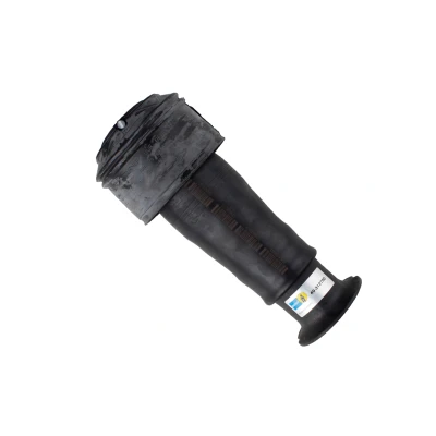 Kuva BILSTEIN 40 312750 Ilmajousi, Jousitus Taka akseli CITROËN: C4 I Grand Picasso