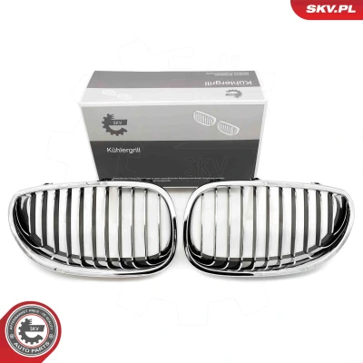 Kuva ESEN SKV 66SKV168 Etusäleikkö Kromi BMW: 5 Sedan, Touring