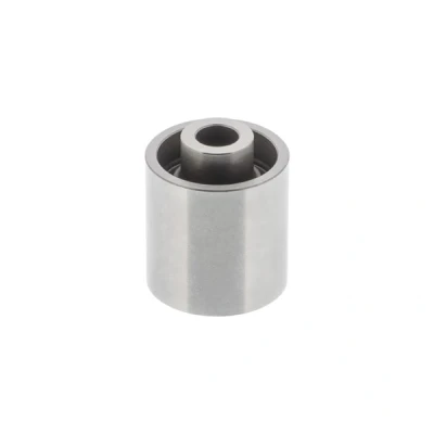 Kuva Ohjainrulla, hammashihna AUDI, SEAT, SKODA, VW OE 06D 109 244D, 244E