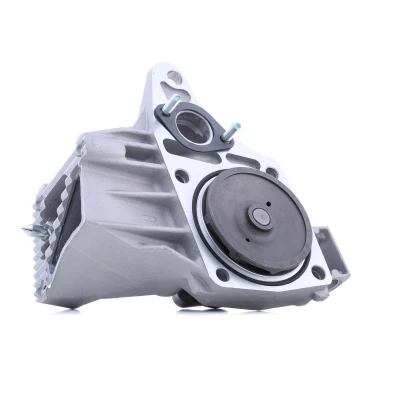 Kuva Vesipumppu MITSUBISHI, OPEL, RENAULT OE 09161593, 45 01 293, 4501293