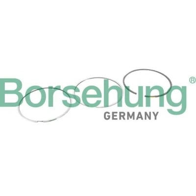 Kuva Borsehung B10364 Männänrenkaat AUDI: A4 B8 Sedan, Allroad, A5 Sportback, VOLKSWAGEN: Transporter 5, Multivan 5 (7HM, Bus