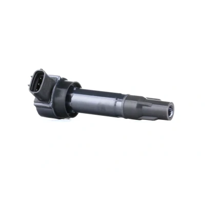 Kuva DELPHI GN10674 Sytytyspuola