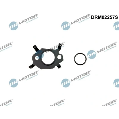 Kuva DR.MOTOR AUTOMOTIVE DRM02257S Tiivistesarja, EGR järjestelmä FORD: S Max Mk2, Mondeo 5, PEUGEOT: Boxer Bussi