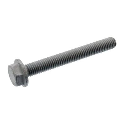 Kuva FEBI BILSTEIN 107696 Ruuvi, Painolevy