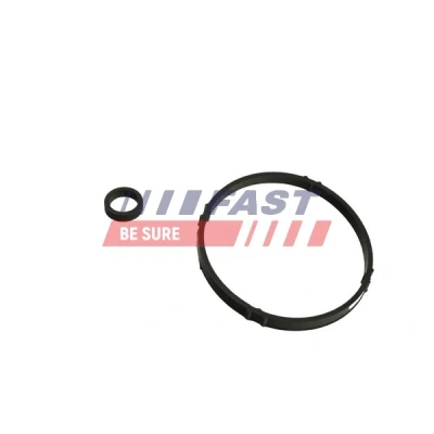 Kuva FAST FT48952 Tiiviste Öljynjäähdytin Öljynsuodattimen kotelo, Moottorilohko PEUGEOT: 307 SW