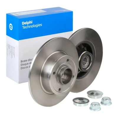 Kuva Jarrukiekko DELPHI BG9028RS takaisin/full/1 kpl