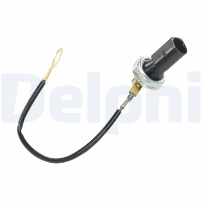 Kuva DELPHI SW90054 Öljynpaineanturi M10, M10x1.0 0,12bar 1,2, 1,6bar SKODA: Octavia 2 Combi, II Hatchback, VOLKSWAGEN: Golf 5, Touran I