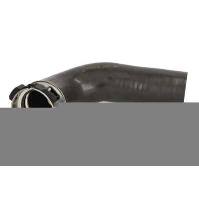 Kuva THERMOTEC DCR304TT Ahdinletku RENAULT: GRAND SCENIC 3