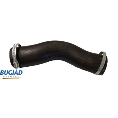 Kuva BUGIAD 82362 Ahdinletku Kuorilla