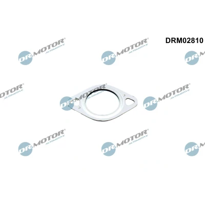 Kuva DR.MOTOR AUTOMOTIVE DRM02810 Tiiviste, EGR Venttiilin Johdin AUDI: Q7