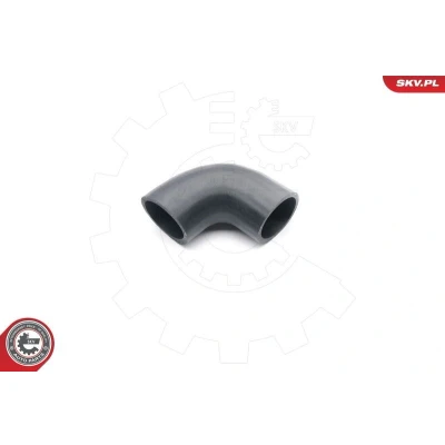 Kuva Ahdinletku, Taakse, oikea, Yläpuolella FORD FOCUS I, Sedan Turnier I OE 1073087, 1135965, 1229491