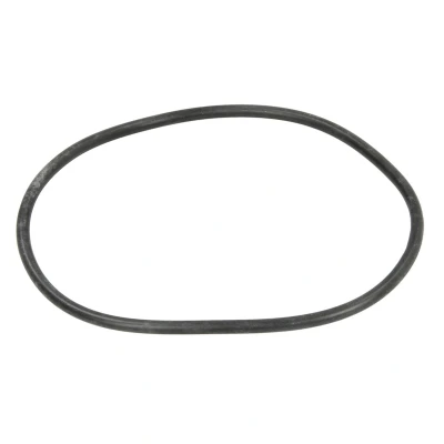 Kuva Euroricambi 95534676 Tiivisterengas