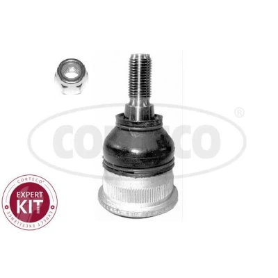 Kuva CORTECO 49399125 Alapallonivel Etuakseli, oikea, vasen RENAULT: LAGUNA 1, 1 Grandtour