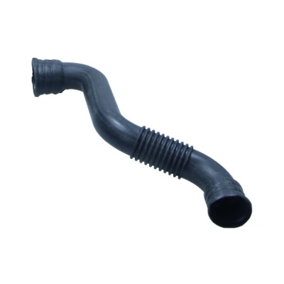 Kuva MAXGEAR 18 0596 Letku, Kampikammion Tuuletus