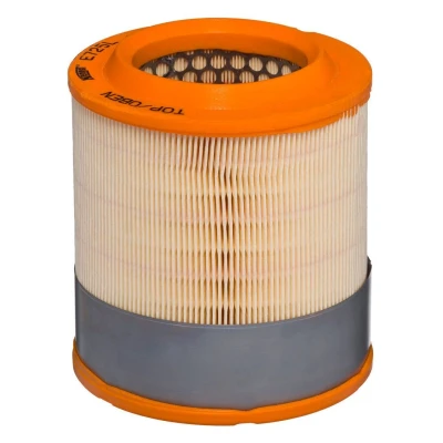 Kuva HENGST FILTER E725L Ilmansuodatin 184 152 Suodatinpanos AUDI: A8 D3