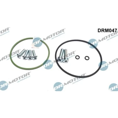 Kuva DR.MOTOR AUTOMOTIVE DRM047 Alipainepumppu korjaussarja AUDI: A6 C6 Avant