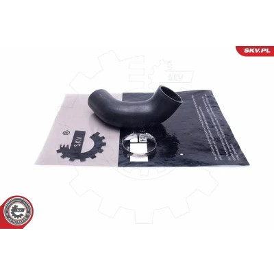Kuva Ahdinletku RENAULT TRUCKS MASCOTT Flak/chassi, Skåp OE 5010580052, 5010619340