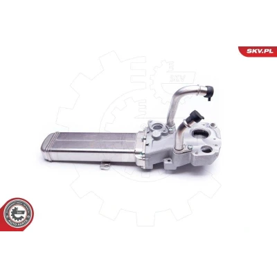 Kuva ESEN SKV 14SKV137 EGR Venttiili VOLKSWAGEN: Golf 6, Jetta 3, 4