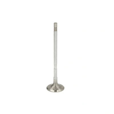Kuva Imuventtiili FRECCIA R8009/SCR