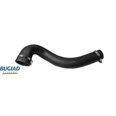 Kuva BUGIAD 82558 Ahdinletku Kuorilla